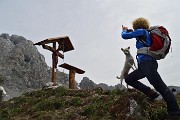 Anello Colle degli Agnelli - Pizzo di Corzene il 12 maggio 2015